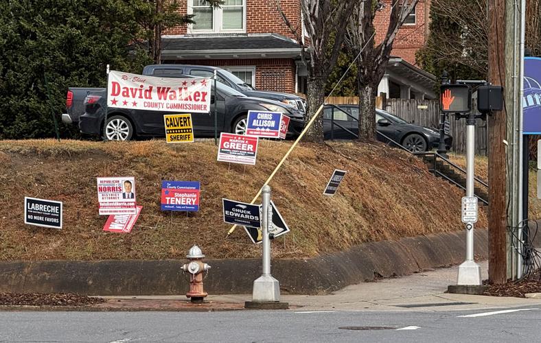 Primary preview 2.jpeg