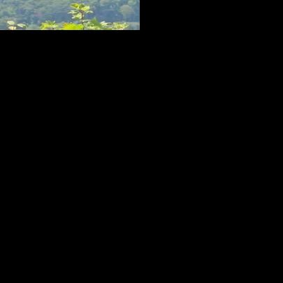 Black Hawk helicopter rescues an injured man after he fell on Shortoff Mountain