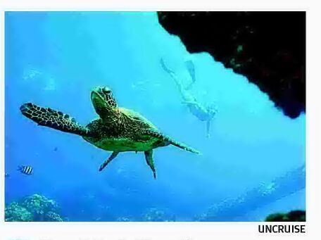 SMOOTH SAILING