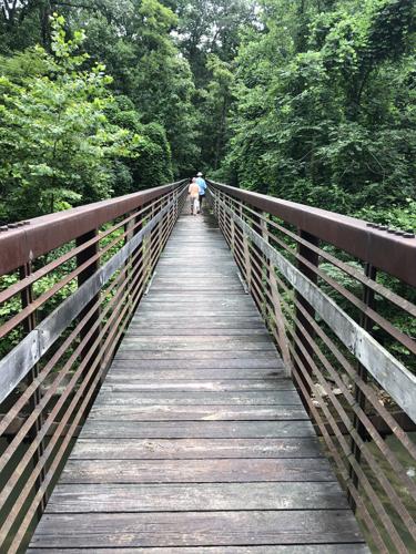 Footbridge Across North Fork.JPG