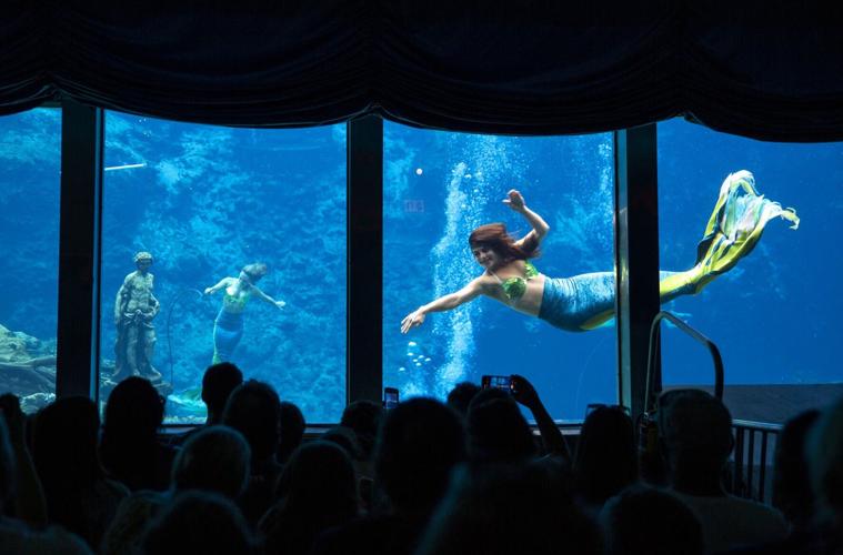 Weeki Wachee mermaids perform "The Little Mermaid" at Weeki Wachee Springs State Park on Tuesday, Aug. 6, 2019.