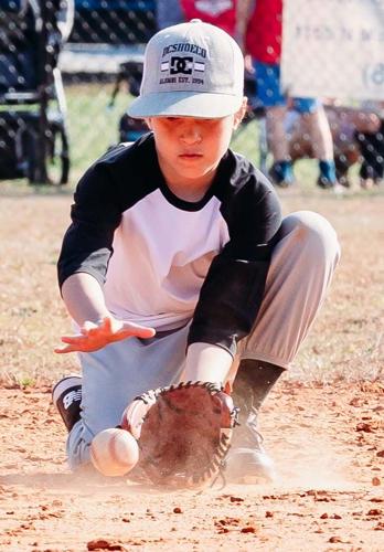 Sorting them all out