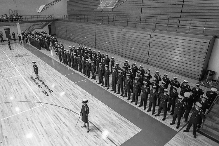 Veterans Day and Hardy Rose 3.jpg