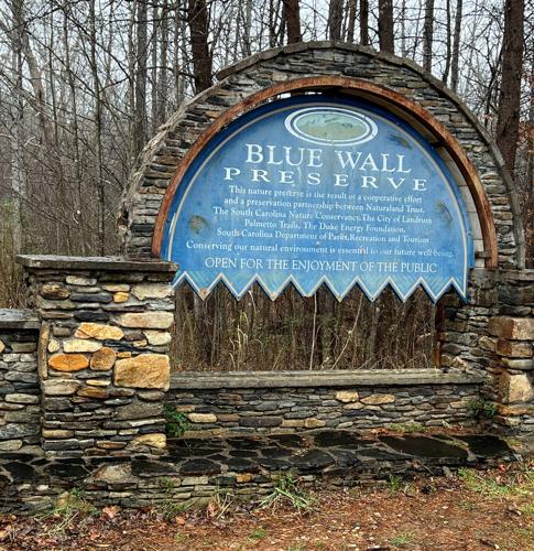 WNC Afield: Twin Ponds Trail may just 'bless your heart'