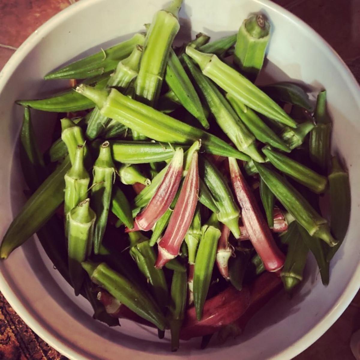Okra and other fresh vegetables can be found at the Marion Tailgate Market
