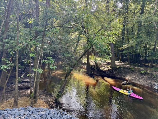 Kayaking is an ideal way to tour Congaree National Park.