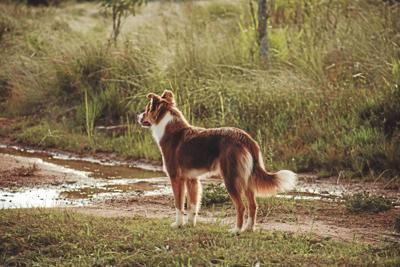 _pexels-lucas-pezeta-3772343_CMYK.jpg