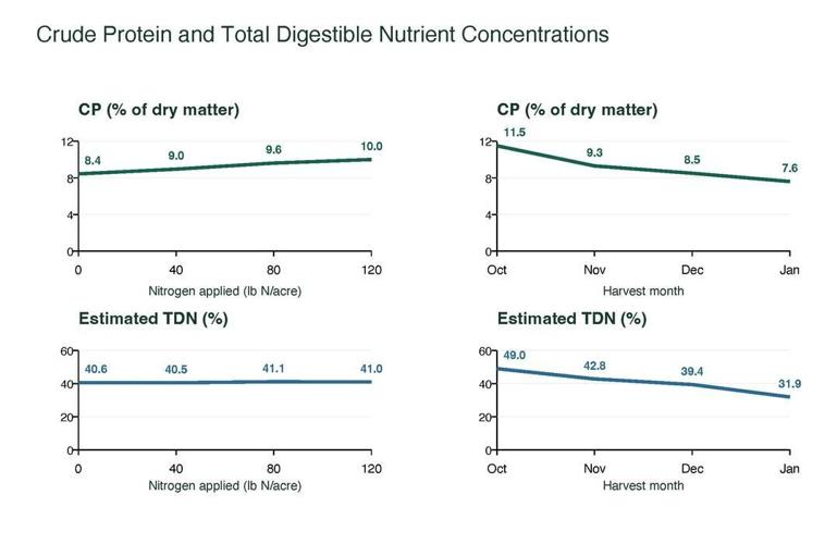 Stockpiled Bermudagrass for Grazing Livestock