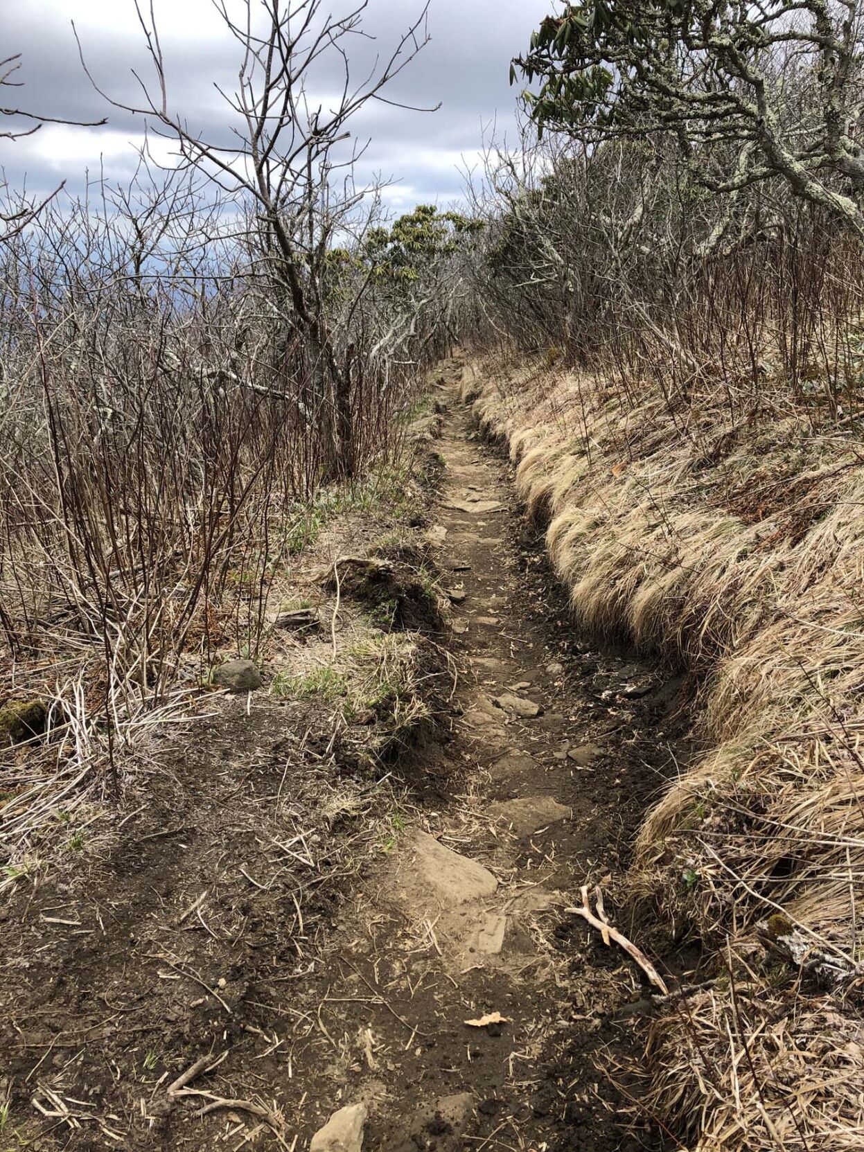 WNC Afield: A little tricky, but totally worth the effort