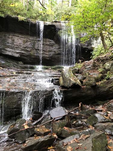 WNC Afield: You'll like this hike. Trust me