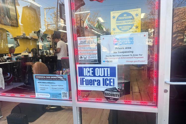 Immigration Enforcement Arrests