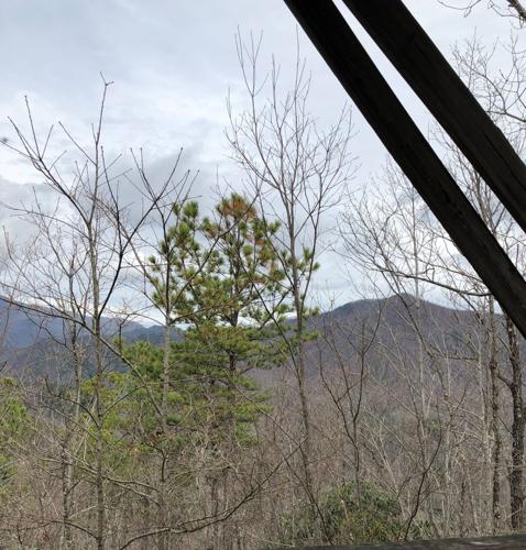 WNC Afield: Any day is a good day for Jarrett's Creek Trail