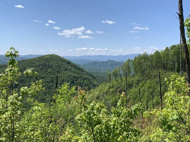 $1.2 million grant awarded for new trail through McDowell