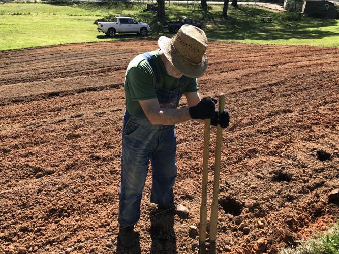 Tabernacle Community Garden taking root in East Marion