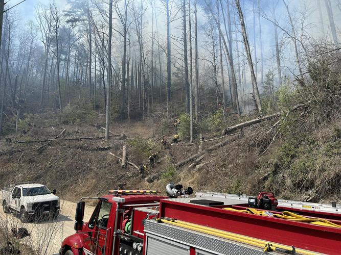 Armstrong Creek fire 3.jpg