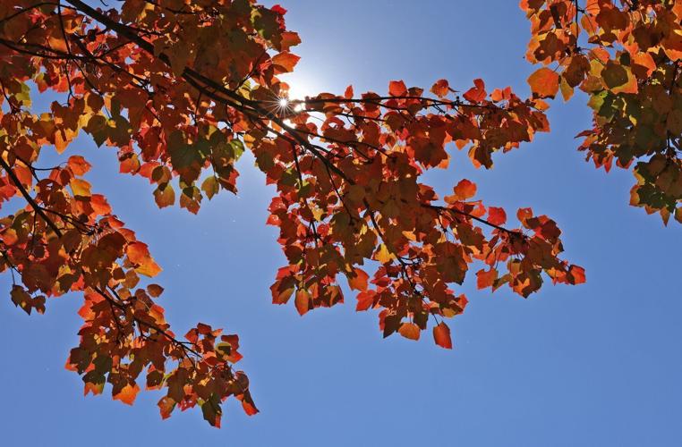 2025 Fall Color Blue Ridge Parkway
