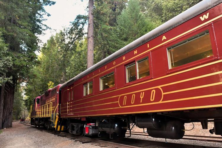 Known as the Noyo, this car is a new cocktail car that’ s part of the Skunk Train, rolling from Willits, Calif..