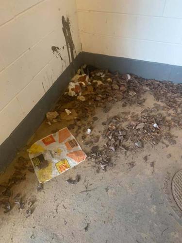 McDowell County officials address filthy conditions at Old Fort ballfields