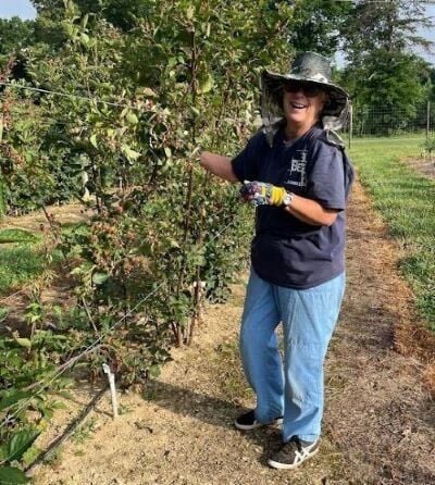 From Backyard Fruit to Breakthrough Findings: Extension Master Gardener Volunteers Advance Invasive Pest Research