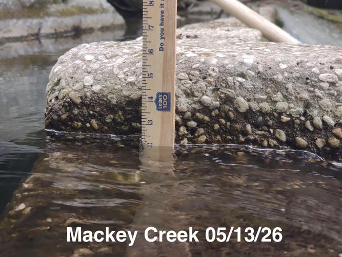 Water 1 5.13.26 Mackey Creek 1.jpeg