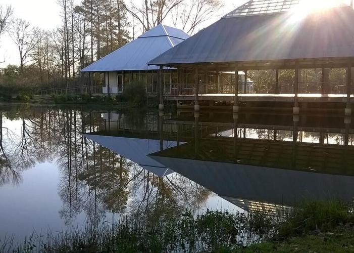 Louisiana: Westminster