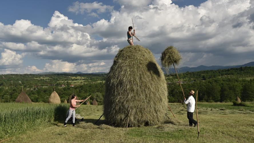Whether being tended to by locals, dotting the countryside, or piled onto horse-drawn carts, you'll find haystacks all over the Romanian region of Maramureș.