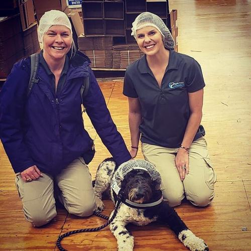 Synergy Labs Otis on tour