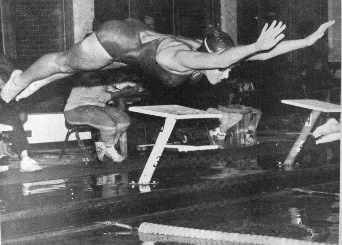 9 Archives-Perfect dive.jpg