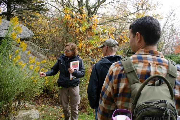 Fall Color Ramble