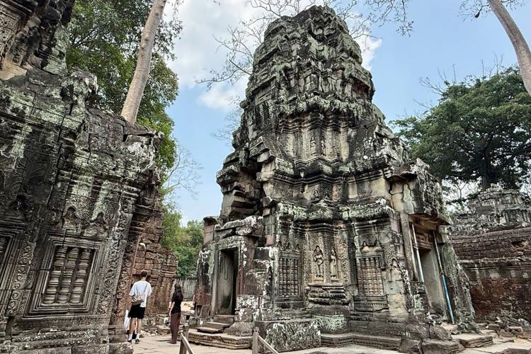Ta Prohm temple became famous thanks to blockbuster "Lara Croft: Tomb Raider" in 2001.