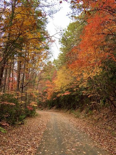Saturday hike to celebrate reopening of Point Lookout Trail
