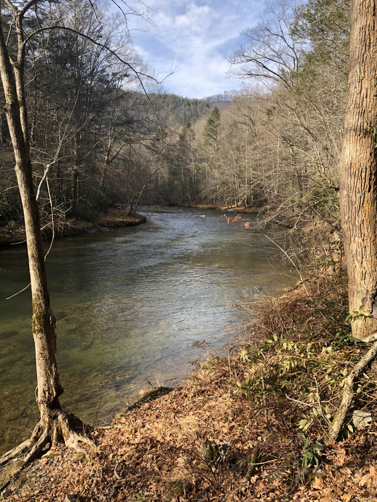 Laurel River Trail a great cold-weather hike