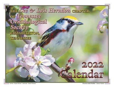 120121-mmn-nws-birds-p1.jpg