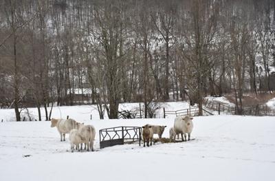 Country snow day (copy) (copy)