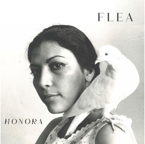 Flea -- Honora