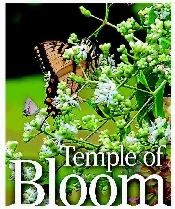 Temple of Bloom
