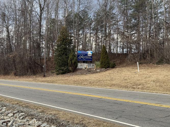 Looking ahead county 1.jpeg