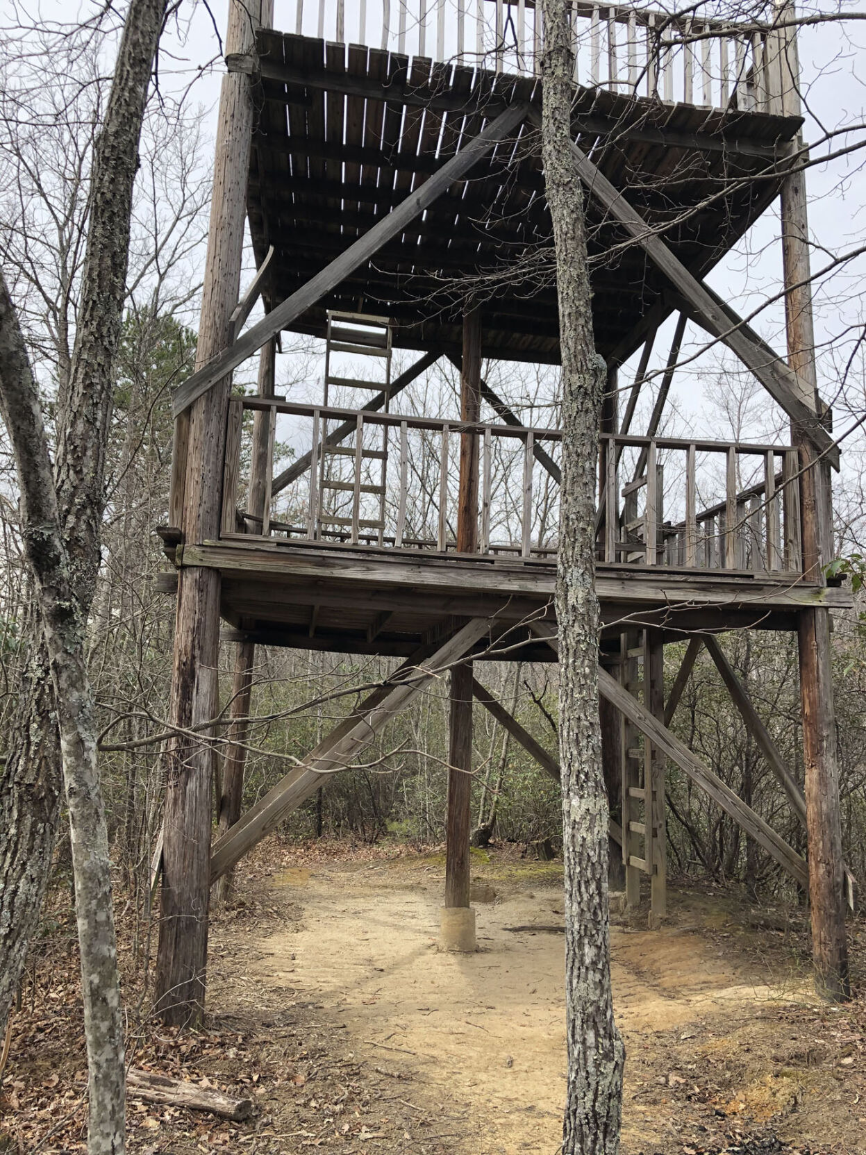 WNC Afield: Any day is a good day for Jarrett's Creek Trail