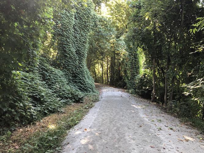 Ribbon-cutting ceremony held for Peavine Trail section on State Street in Marion