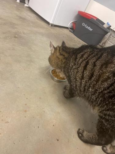 050424-hdr-news-flashcat-p4