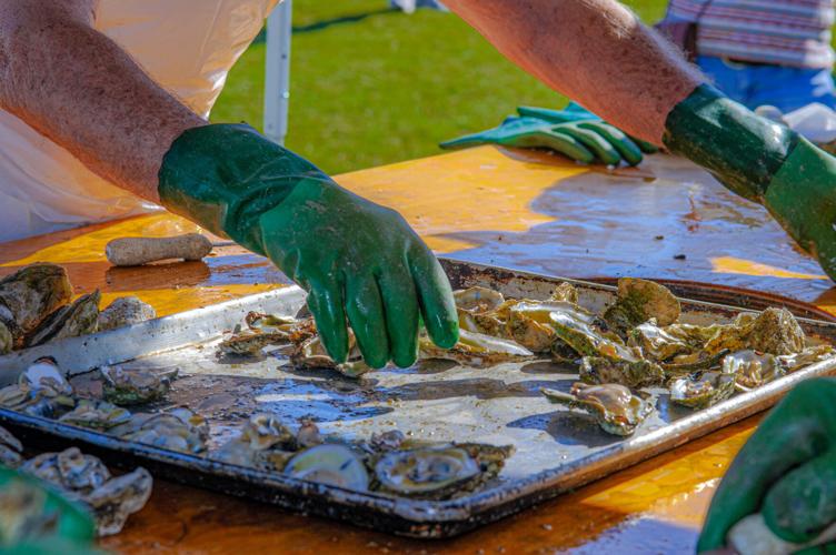 Oyster Festival 2022 (16).jpg