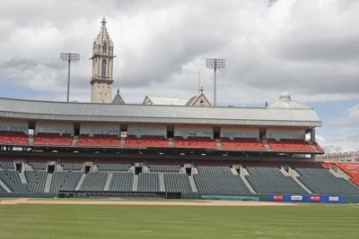 Buffalo Bisons