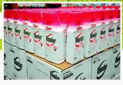 MAHA fault line emerges