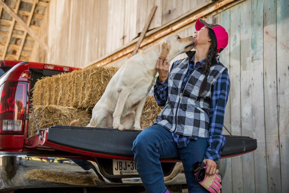 Marion Tractor Supply Hosting Animal Adoptions Pet Supplies On Saturday Latest Headlines Mcdowellnews Com