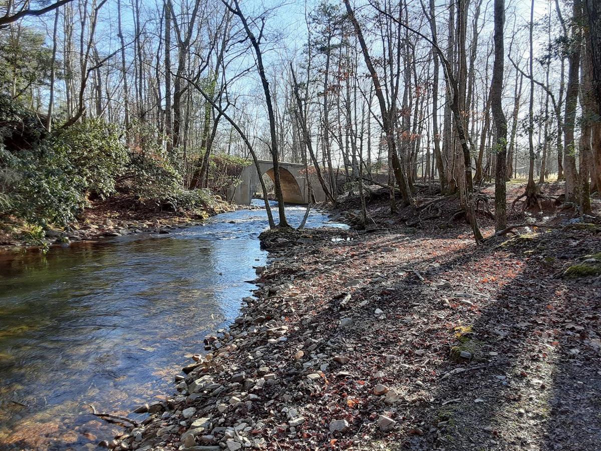 Foothills Conservancy acquires 35 more acres along Paddy’s Creek