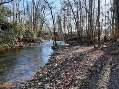 Foothills Conservancy acquires 35 more acres along Paddy’s Creek