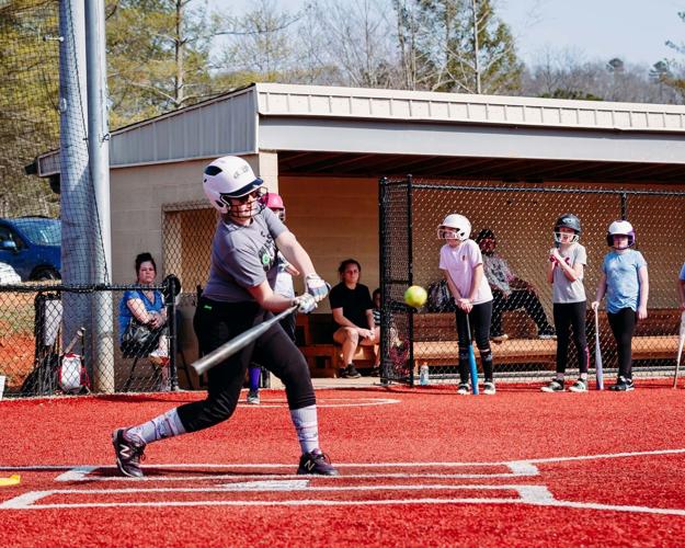 Sorting them all out