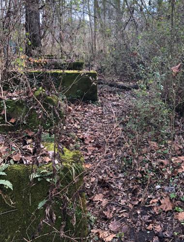 Laurel River Trail a great cold-weather hike