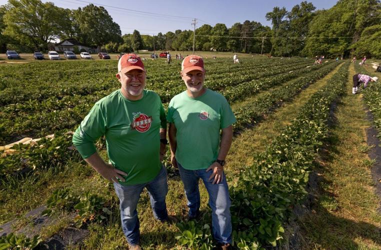 Jones Strawberry Farm