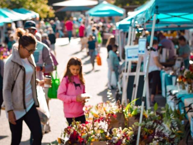 Ultimate Guide to Your First Time in Lake Norman